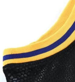 Black-Gold Snakeskin Custom Basketball Jersey -World of Sportswear 71axe0Z337L. AC UX679