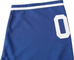 The Sandlot Benny 'The Jet' Rodriguez Baseball Jersey 31 The Sandlot Benny 'The Jet' Rodriguez Baseball Jersey -World of Sportswear 815La9hCVZL. AC SX679. SX. UX. SY. UY