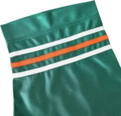 Ray Finkle Football Jersey -World of Sportswear 81RhevmXJbL. AC SL1500