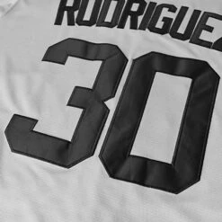 The Sandlot Benny 'The Jet' Rodriguez Baseball Jersey 39 The Sandlot Benny 'The Jet' Rodriguez Baseball Jersey -World of Sportswear 81nGnbenw4L. AC SX679. SX. UX. SY. UY