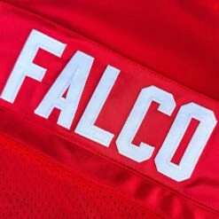 The Replacements Shane Falco Washington Sentinels Football Jersey 17 The Replacements Shane Falco Washington Sentinels Football Jersey -World of Sportswear IMG 8852copy