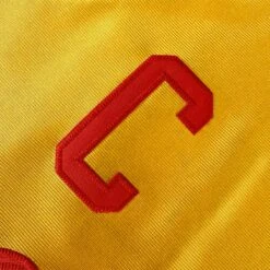 Peter Lafluer Average Joe's Baseball Jersey -World of Sportswear IMG 9248g