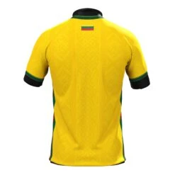 Lithuania Heritage Custom Football Jersey 8 Lithuania Heritage Custom Football Jersey -World of Sportswear LithuaniaCustomFootballJerseyBackPlain