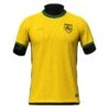 Lithuania Heritage Custom Football Jersey