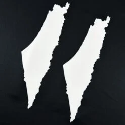 Palestine Heritage Custom Football Jersey -World of Sportswear PalestineFootballJersey4